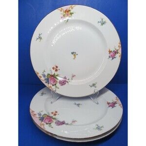 Epaig Czechoslovakia Pattern #6376 Floral Set Of Three 10 1/4" Dinner Plates